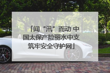 闻“汛”而动 中国太保产险丽水中支筑牢安全守护网