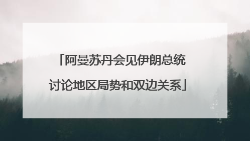 阿曼苏丹会见伊朗总统 讨论地区局势和双边关系