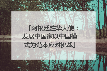 阿根廷驻华大使：发展中国家以中国模式为范本应对挑战