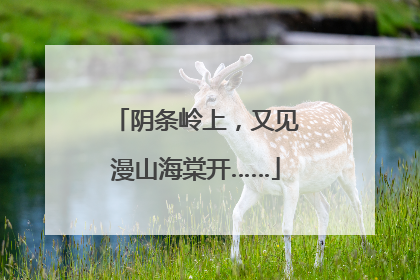 阴条岭上，又见漫山海棠开……