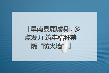 阜南县鹿城镇：多点发力 筑牢秸秆禁烧“防火墙”