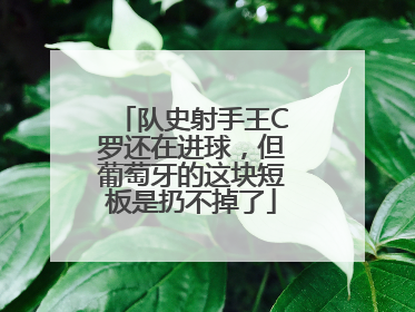 队史射手王C罗还在进球，但葡萄牙的这块短板是扔不掉了