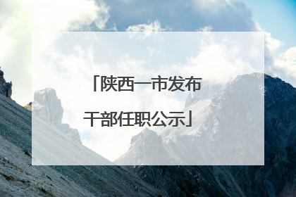 陕西一市发布干部任职公示