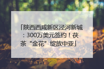 陕西西咸新区泾河新城：300万美元签约！茯茶“金花”绽放中亚