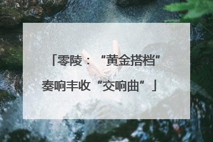 零陵：“黄金搭档”奏响丰收“交响曲”