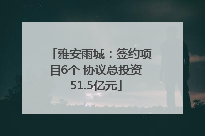 雅安雨城：签约项目6个 协议总投资51.5亿元