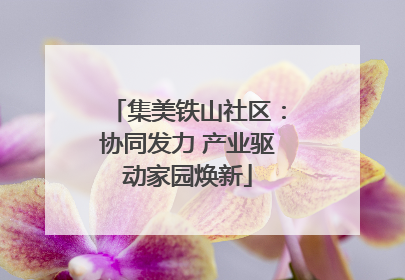 集美铁山社区：协同发力 产业驱动家园焕新