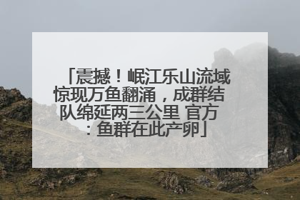 震撼！岷江乐山流域惊现万鱼翻涌，成群结队绵延两三公里 官方：鱼群在此产卵