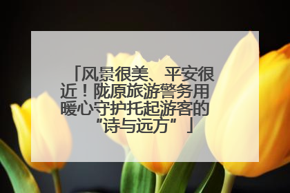 风景很美、平安很近！陇原旅游警务用暖心守护托起游客的“诗与远方”