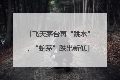 飞天茅台再“跳水”，“蛇茅”跌出新低