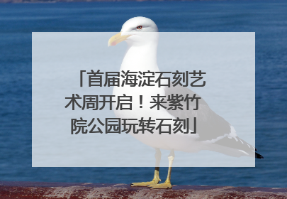 首届海淀石刻艺术周开启！来紫竹院公园玩转石刻
