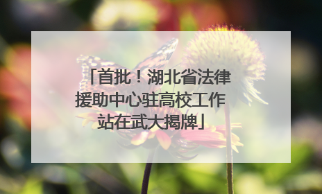 首批！湖北省法律援助中心驻高校工作站在武大揭牌
