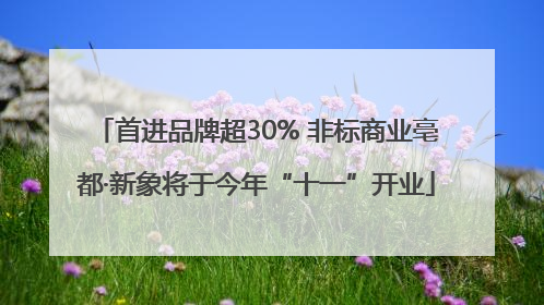 首进品牌超30% 非标商业亳都·新象将于今年“十一”开业