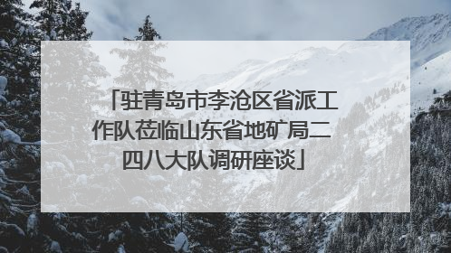 驻青岛市李沧区省派工作队莅临山东省地矿局二四八大队调研座谈