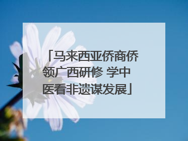 马来西亚侨商侨领广西研修 学中医看非遗谋发展