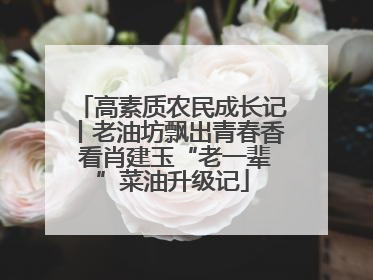 高素质农民成长记丨老油坊飘出青春香 看肖建玉“老一辈”菜油升级记
