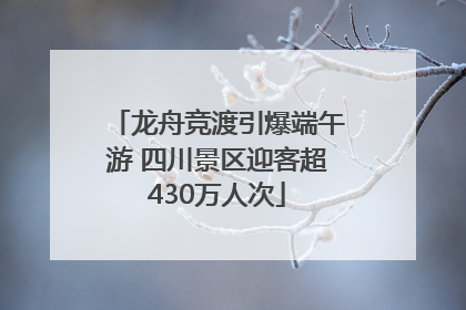 龙舟竞渡引爆端午游 四川景区迎客超430万人次