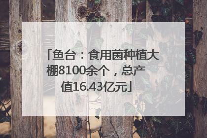鱼台：食用菌种植大棚8100余个，总产值16.43亿元