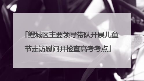 鲤城区主要领导带队开展儿童节走访慰问并检查高考考点