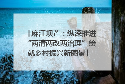 麻江坝芒：纵深推进“两清两改两治理”绘就乡村振兴新图景