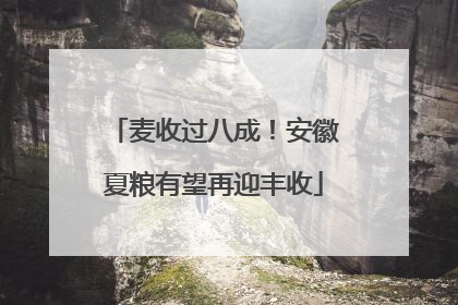 麦收过八成！安徽夏粮有望再迎丰收