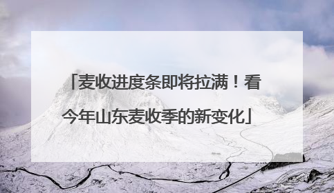 麦收进度条即将拉满！看今年山东麦收季的新变化