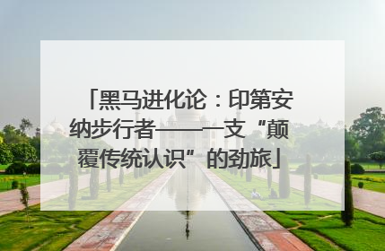 黑马进化论：印第安纳步行者——一支“颠覆传统认识”的劲旅