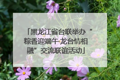 黑龙江省台联举办“粽香迎端午·龙台情相融”交流联谊活动