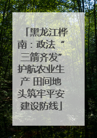 黑龙江桦南：政法“三箭齐发”护航农业生产 田间地头筑牢平安建设防线