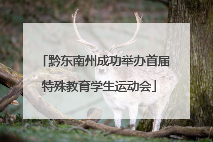 黔东南州成功举办首届特殊教育学生运动会