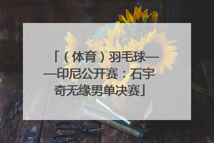 （体育）羽毛球——印尼公开赛：石宇奇无缘男单决赛