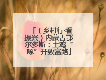 （乡村行·看振兴）内蒙古鄂尔多斯：土鸡“啄”开致富路