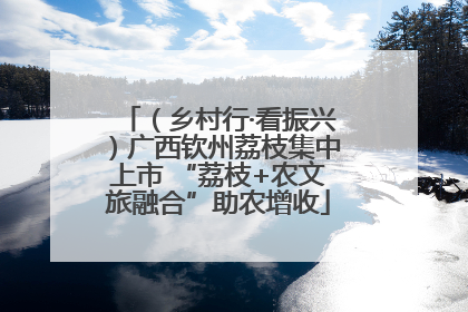 （乡村行·看振兴）广西钦州荔枝集中上市 “荔枝+农文旅融合”助农增收