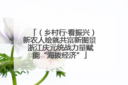 （乡村行·看振兴）新农人绘就共富新图景 浙江庆元统战力量赋能“海拔经济”
