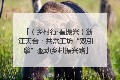 （乡村行·看振兴）浙江天台：共富工坊“双引擎”驱动乡村振兴路