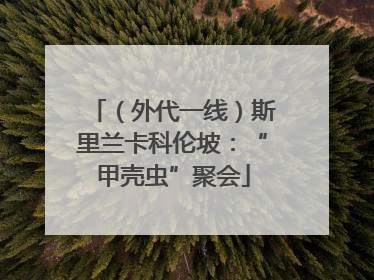 （外代一线）斯里兰卡科伦坡：“甲壳虫”聚会