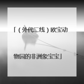 （外代二线）欧宝动物园的非洲象宝宝
