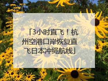 3小时直飞！杭州空港口岸恢复直飞日本冲绳航线