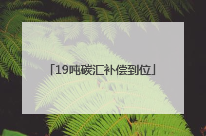 19吨碳汇补偿到位