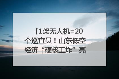 1架无人机=20个巡查员！山东低空经济“硬核王炸”亮相青岛，下一个万亿赛道藏在这里