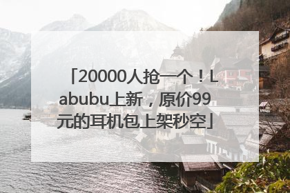 20000人抢一个！Labubu上新，原价99元的耳机包上架秒空