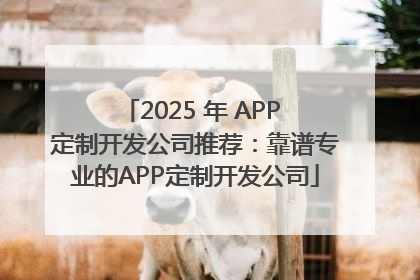 2025 年 APP 定制开发公司推荐：靠谱专业的APP定制开发公司