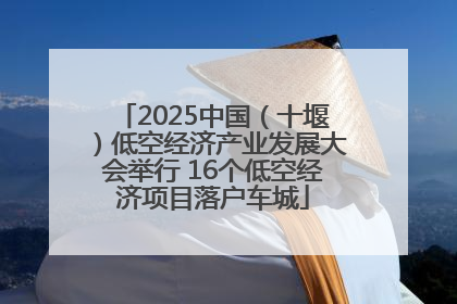 2025中国（十堰）低空经济产业发展大会举行 16个低空经济项目落户车城