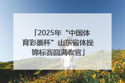 2025年“中国体育彩票杯”山东省体操锦标赛圆满收官