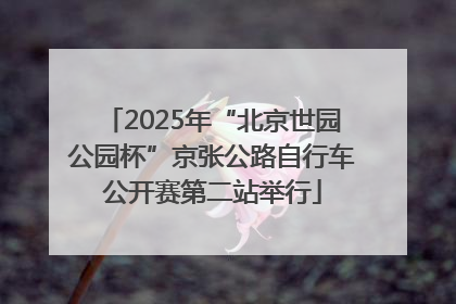 2025年“北京世园公园杯”京张公路自行车公开赛第二站举行