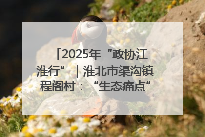 2025年“政协江淮行”｜淮北市渠沟镇程阁村：“生态痛点”变“生态景观”