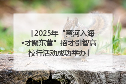 2025年“黄河入海•才聚东营”招才引智高校行活动成功举办