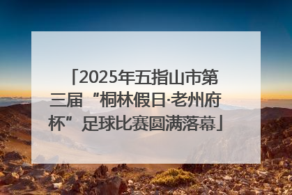 2025年五指山市第三届“桐林假日·老州府杯”足球比赛圆满落幕