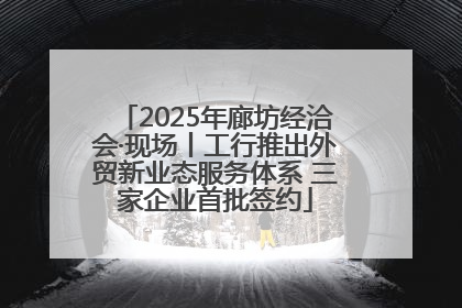 2025年廊坊经洽会·现场丨工行推出外贸新业态服务体系 三家企业首批签约