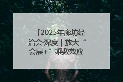 2025年廊坊经洽会·深度｜放大“会展+”乘数效应 打造消费新场景